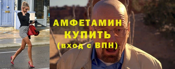 гидра Каменка