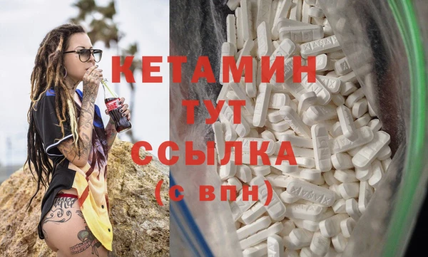 стаф Касимов