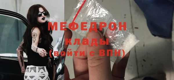гидра Каменка