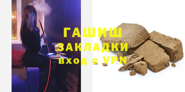 гидра Каменка