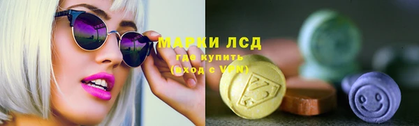 гидра Каменка