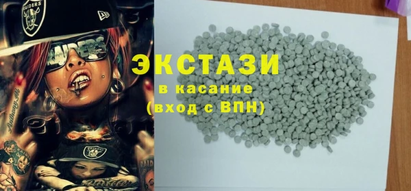 гидра Каменка
