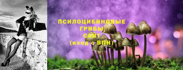 герыч Каменногорск