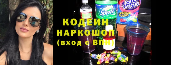 гидра Каменка