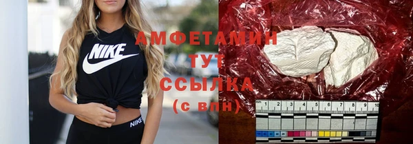 гидра Каменка