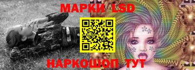 тгк Кингисепп
