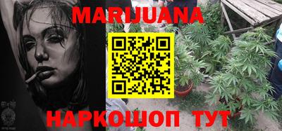 тгк Кингисепп