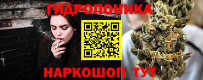тгк Кингисепп
