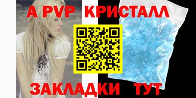 тгк Кингисепп