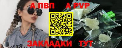 тгк Кингисепп