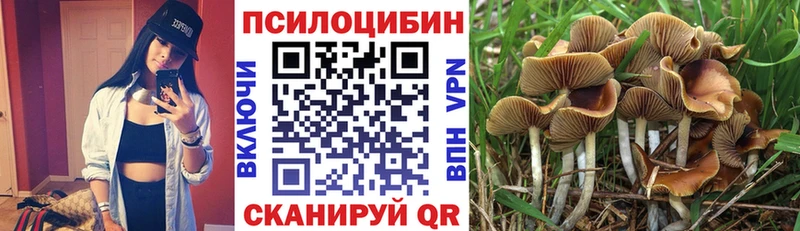сколько стоит Мурино Псилоцибиновые грибы мицелий