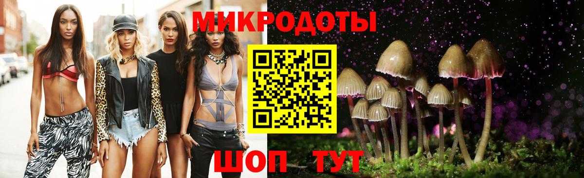 Галлюциногенные грибы GOLDEN TEACHER  где можно купить   Мурино  Галлюциногенные грибы MAGIC MUSHROOMS  Вход с VPN 